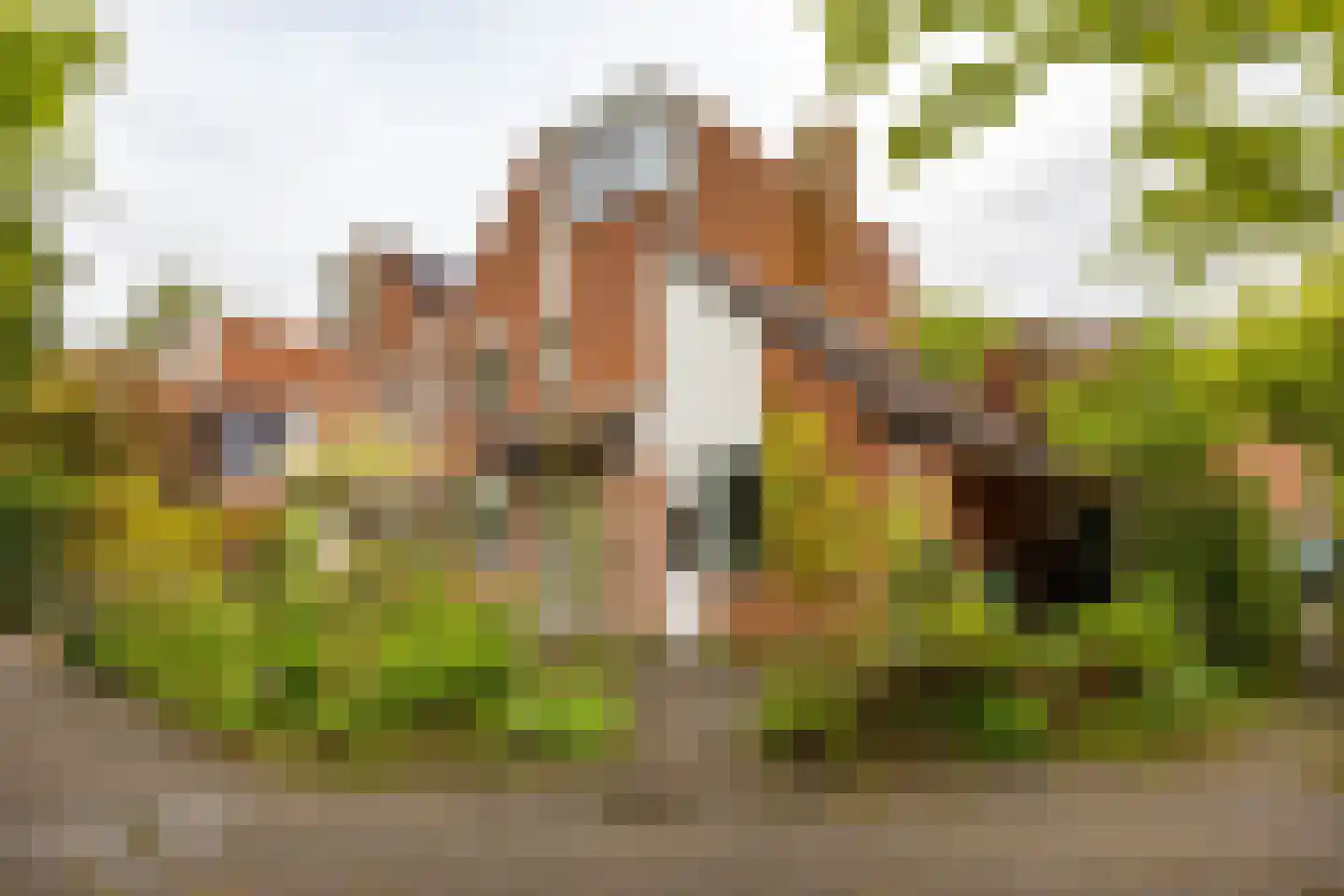 Fultsemaheerd 95 Groningen