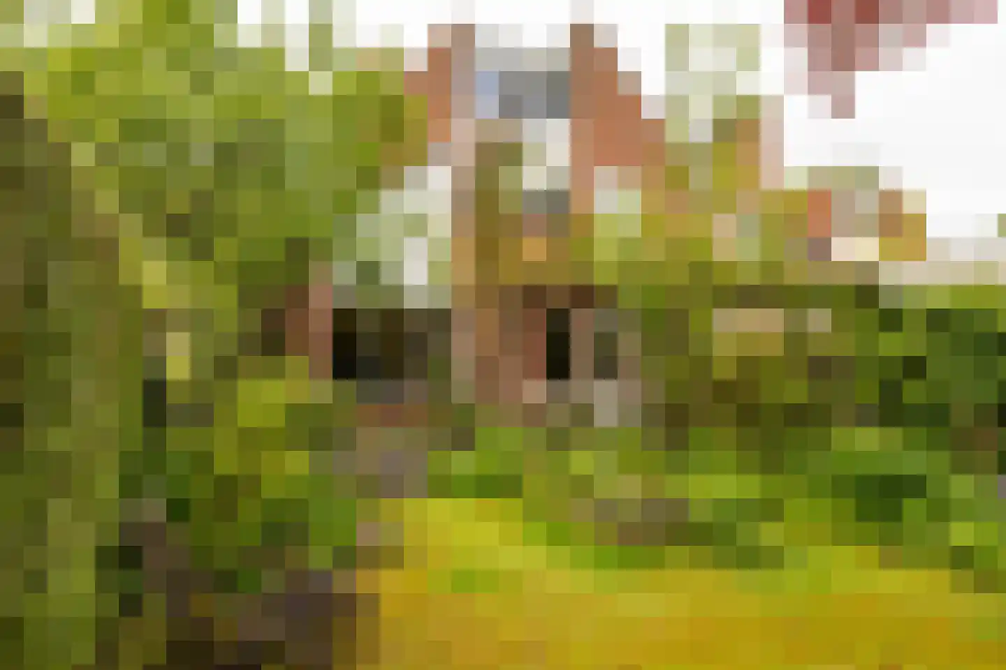 Fultsemaheerd 95 Groningen thumbnail 16