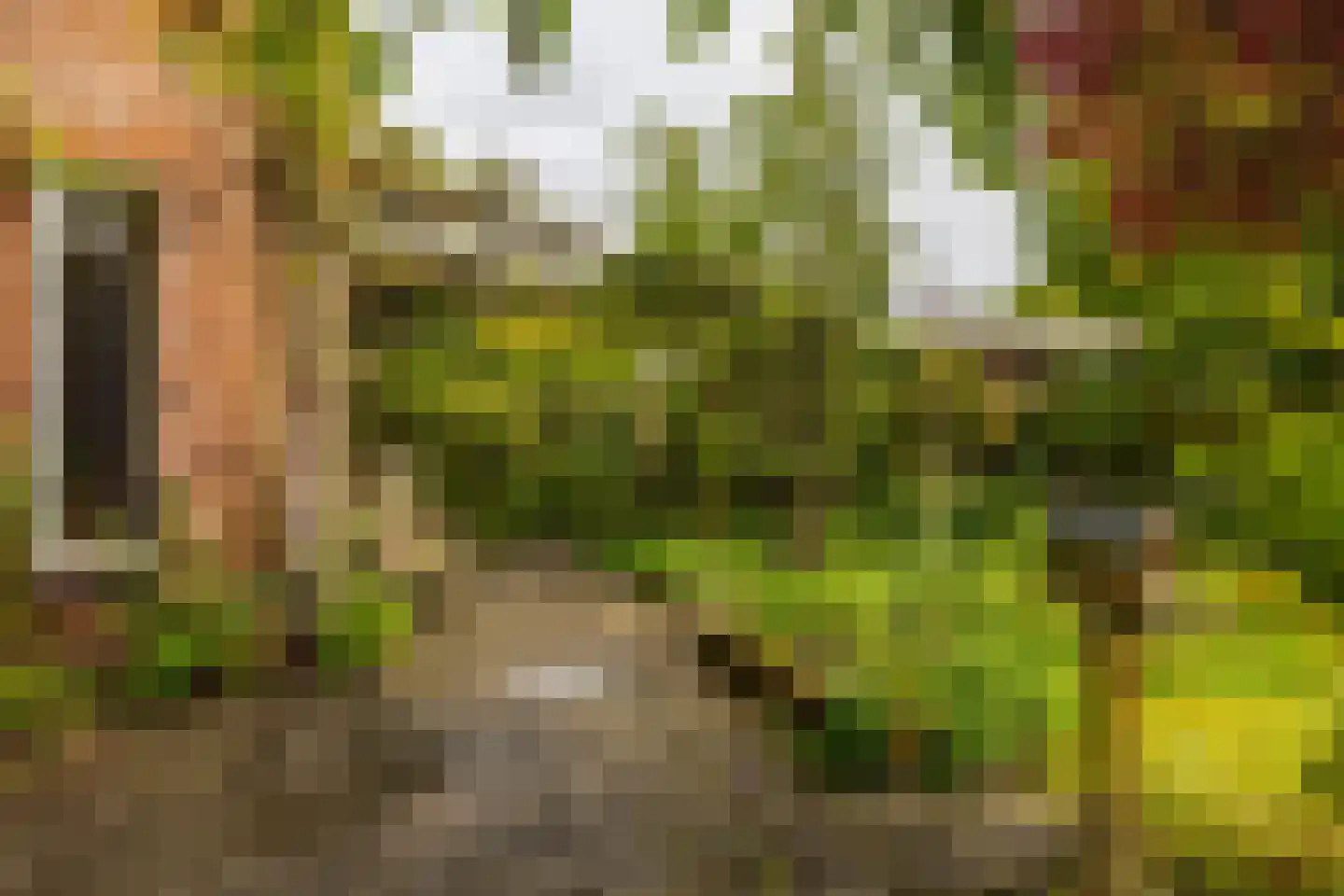 Fultsemaheerd 95 Groningen thumbnail 17