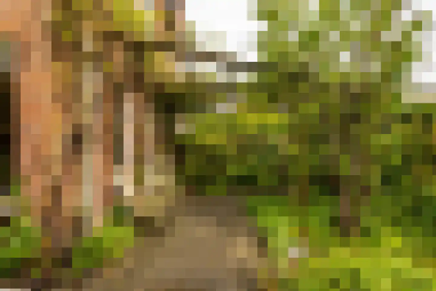 Fultsemaheerd 95 Groningen thumbnail 18