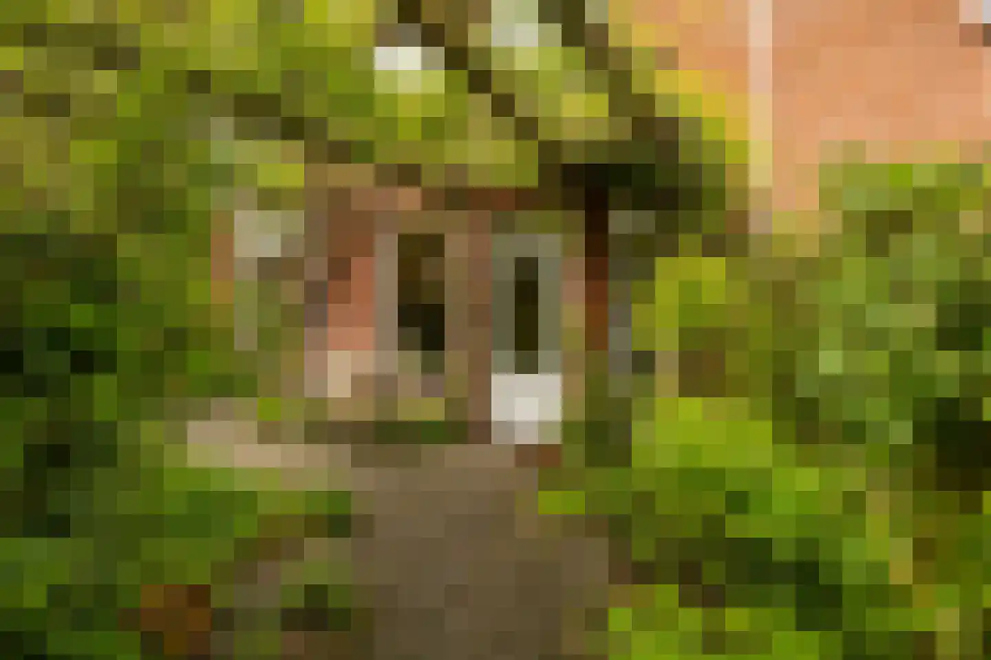 Fultsemaheerd 95 Groningen thumbnail 19