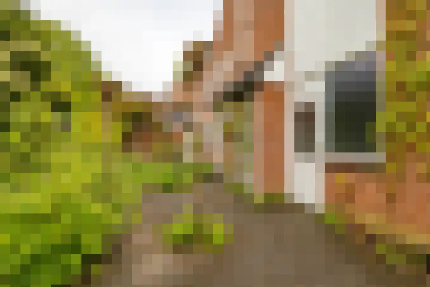 Fultsemaheerd 95 Groningen thumbnail 20