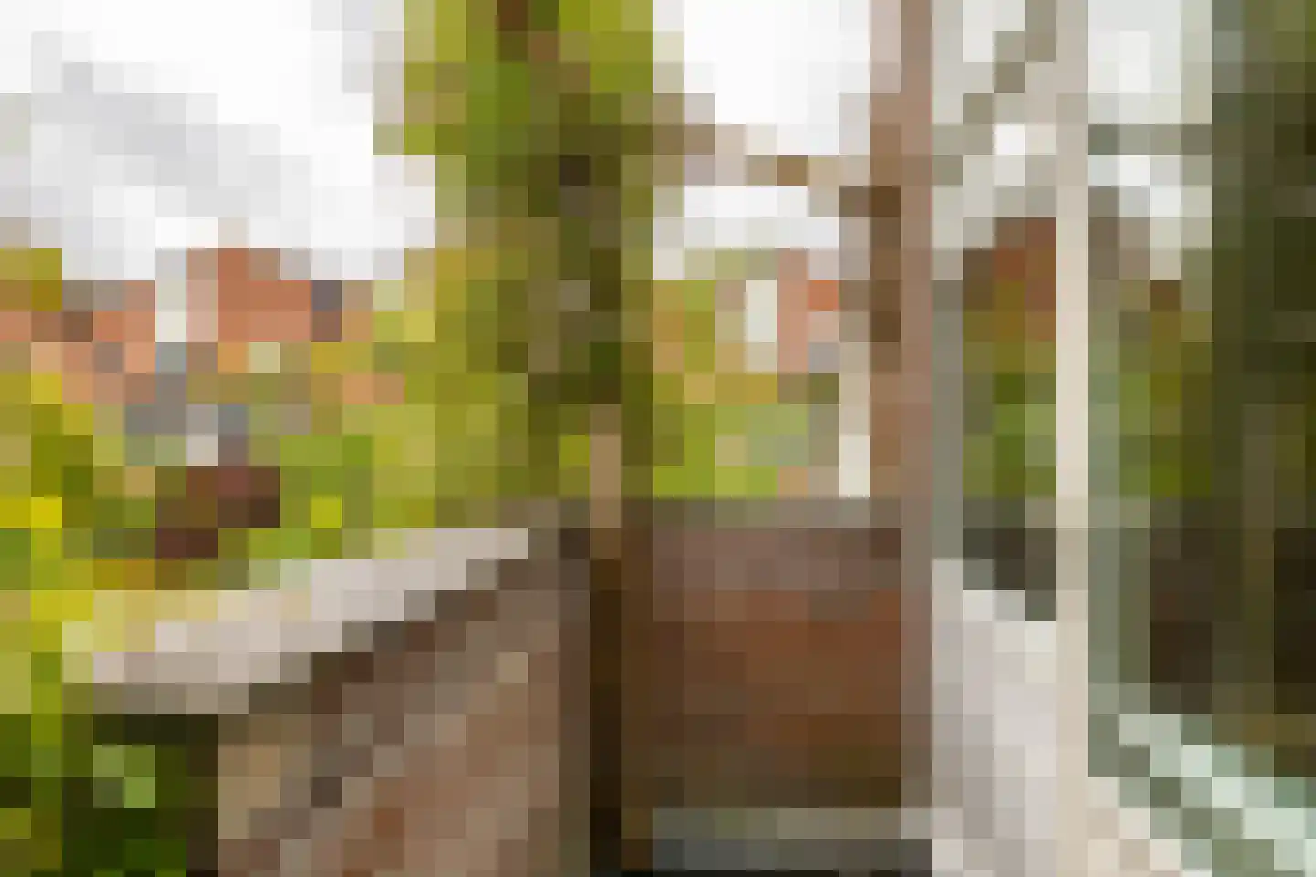 Fultsemaheerd 95 Groningen thumbnail 28