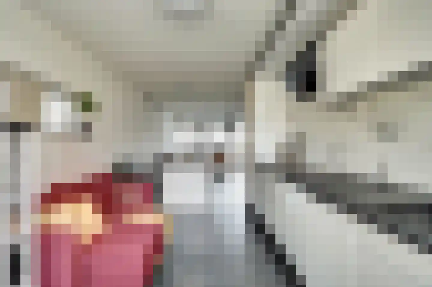 Fumahout 2 Zoetermeer thumbnail 13