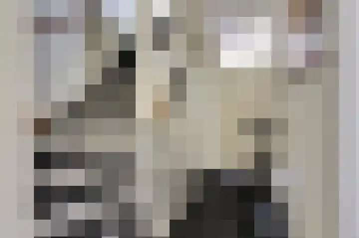 Fumahout 2 Zoetermeer thumbnail 14
