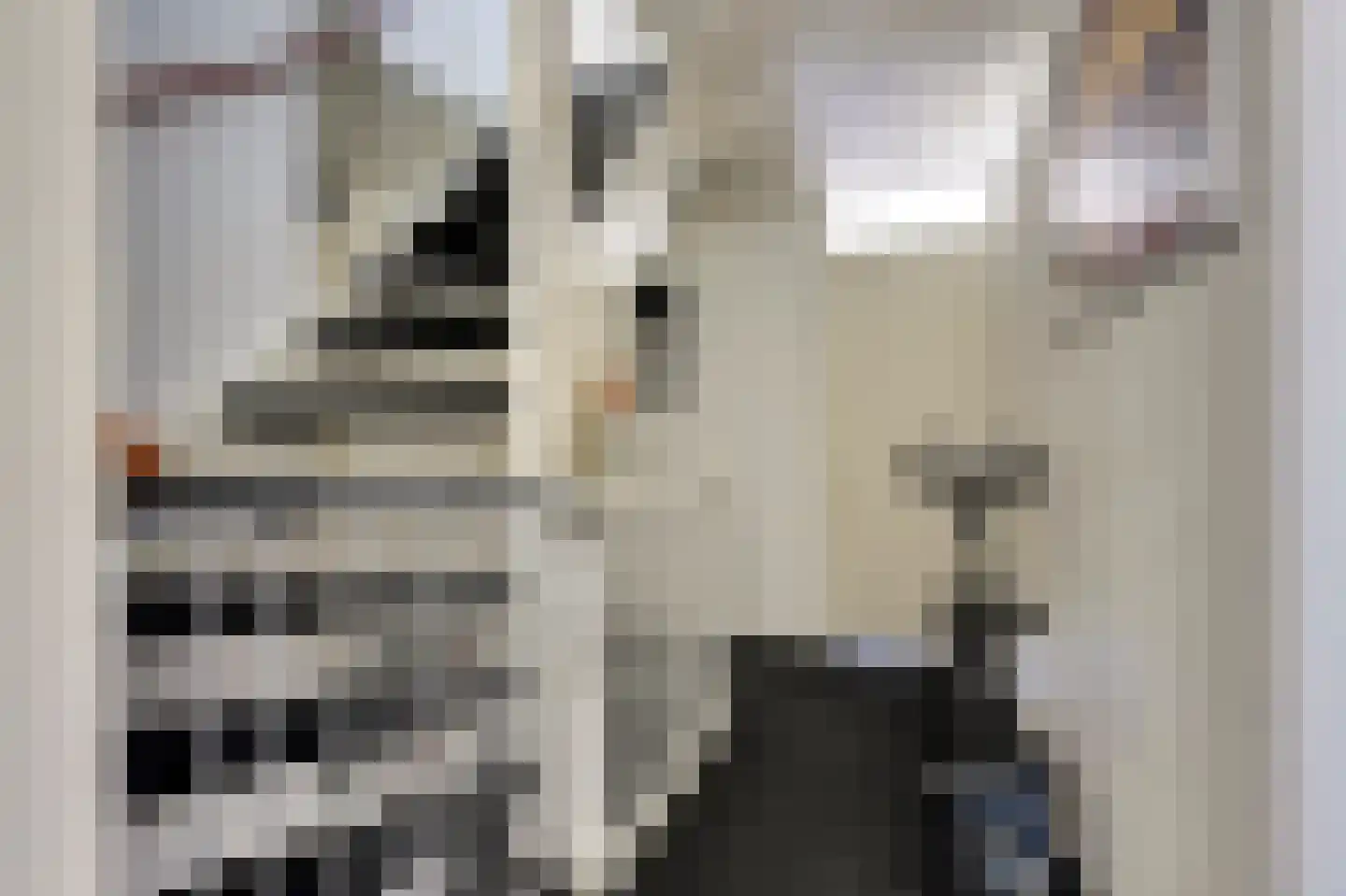 Fumahout 2 Zoetermeer thumbnail 14