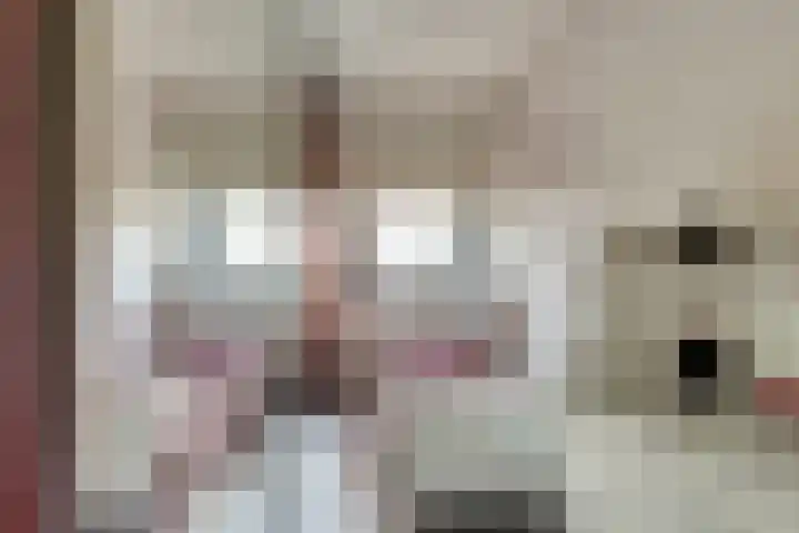 Fumahout 2 Zoetermeer thumbnail 20