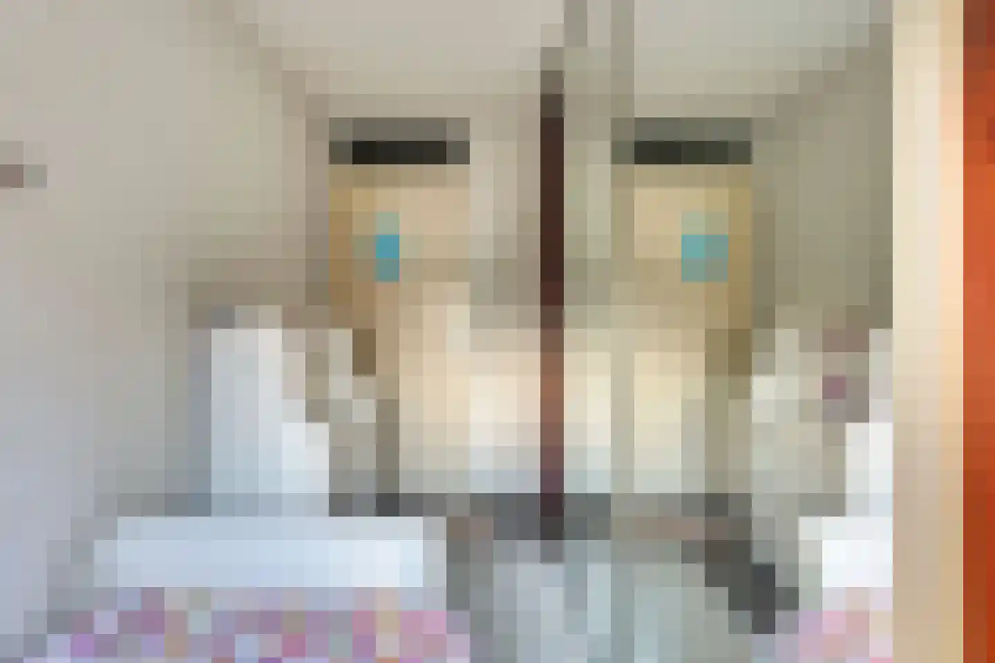 Fumahout 2 Zoetermeer thumbnail 21