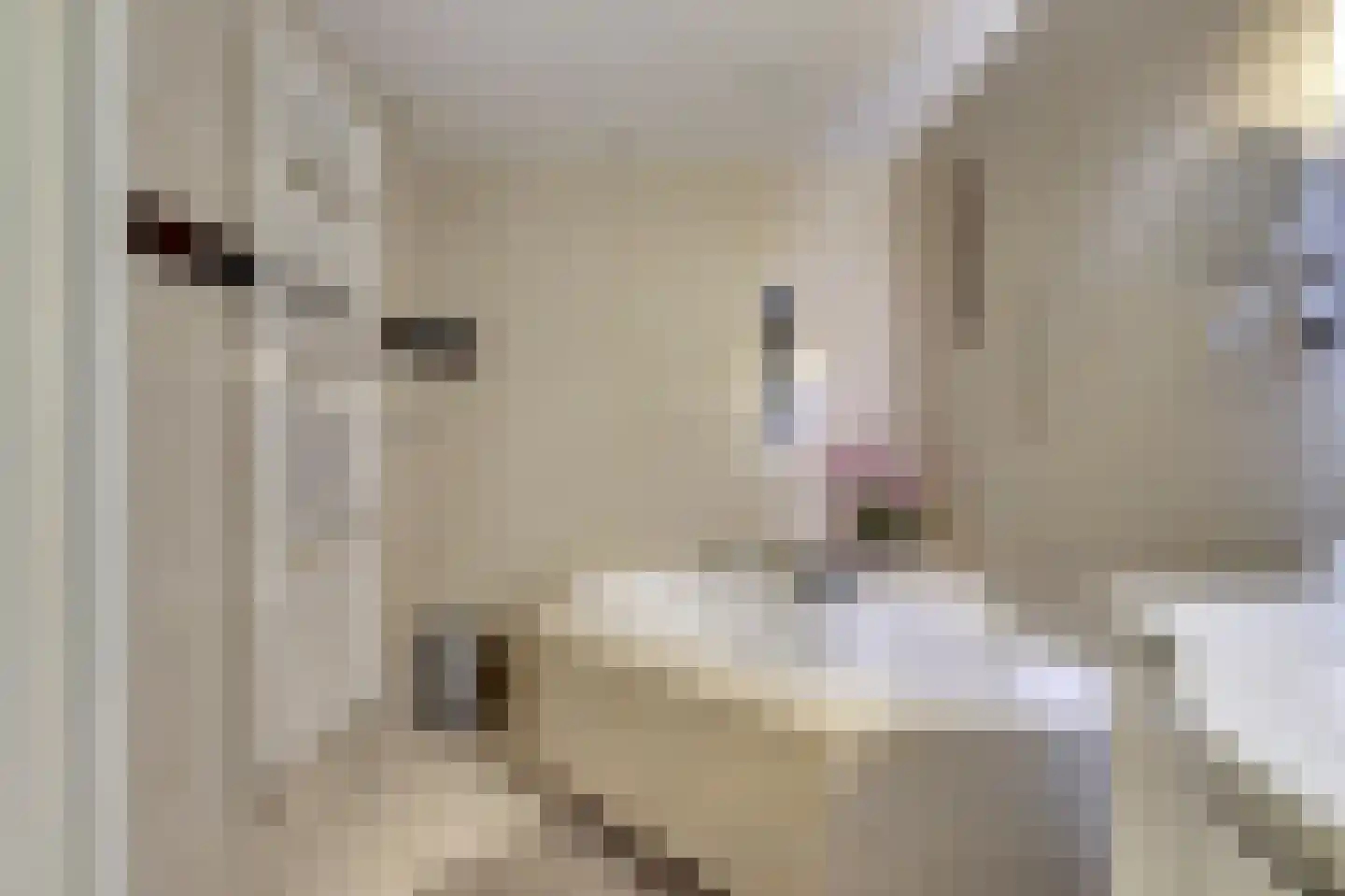 Fumahout 2 Zoetermeer thumbnail 23