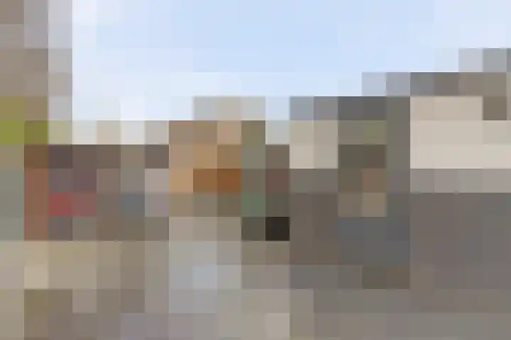 Fumahout 2 Zoetermeer thumbnail 27