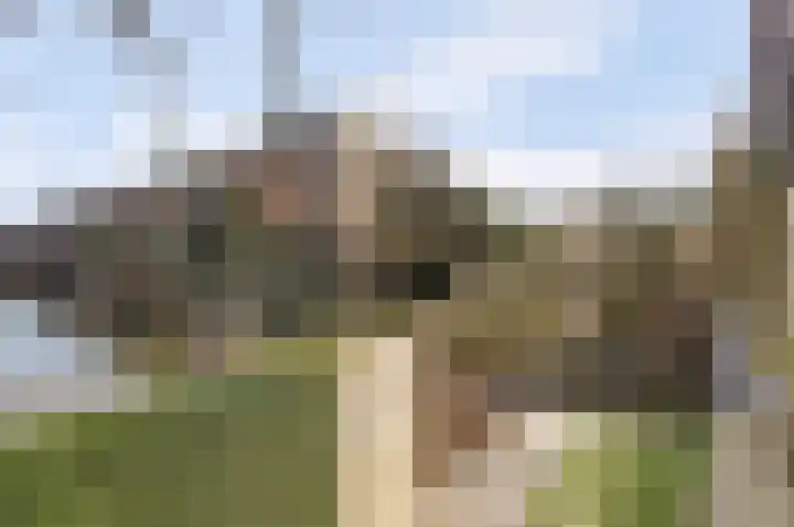 Fumahout 2 Zoetermeer thumbnail 28