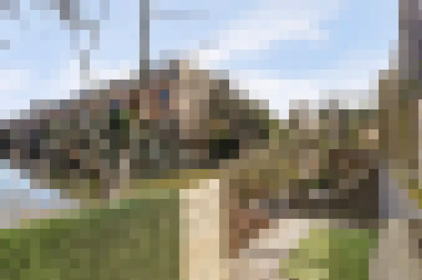 Fumahout 2 Zoetermeer thumbnail 28