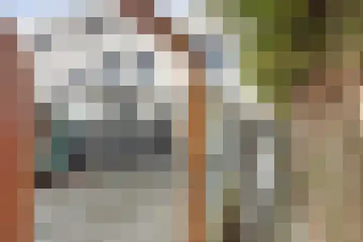 Fumahout 2 Zoetermeer thumbnail 29