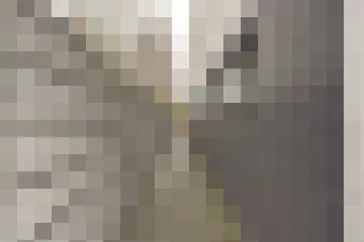 Fumahout 2 Zoetermeer thumbnail 30