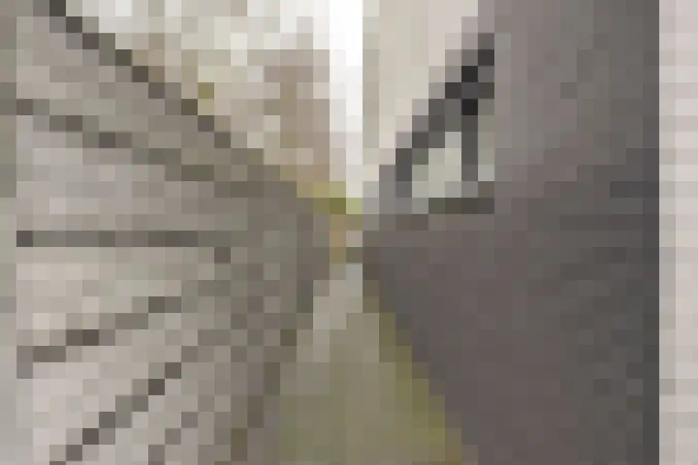 Fumahout 2 Zoetermeer thumbnail 30