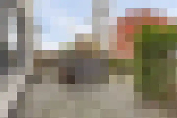Fumahout 2 Zoetermeer thumbnail 31
