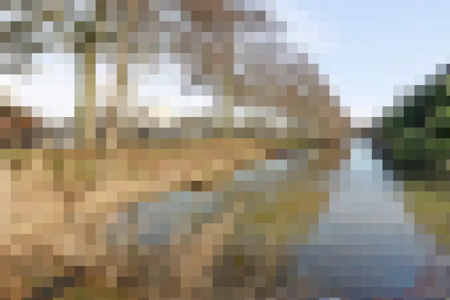 Fumahout 2 Zoetermeer thumbnail 32