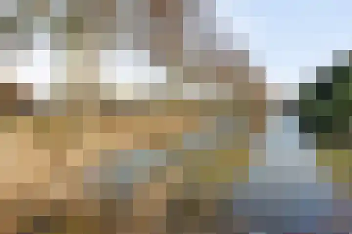 Fumahout 2 Zoetermeer thumbnail 32