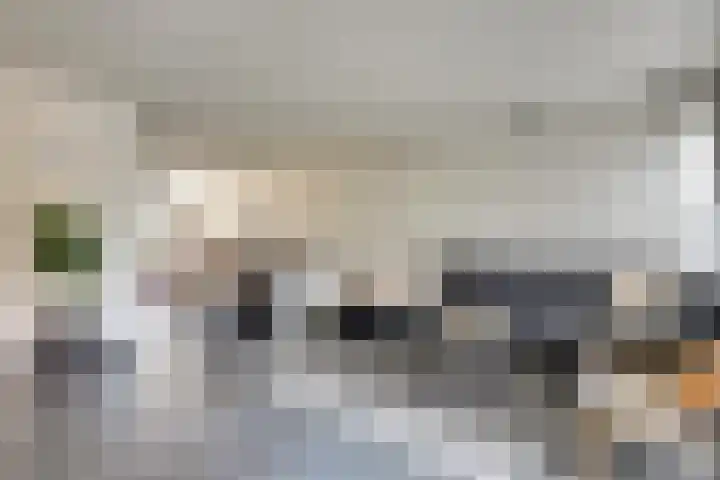 Fumahout 2 Zoetermeer thumbnail 4