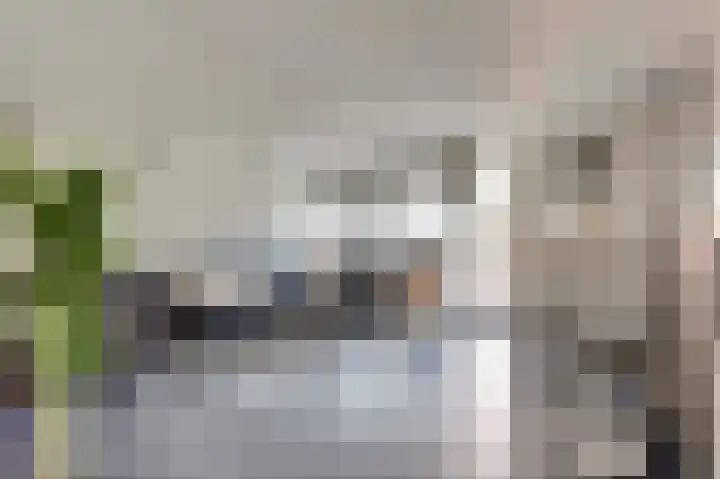Fumahout 2 Zoetermeer thumbnail 9