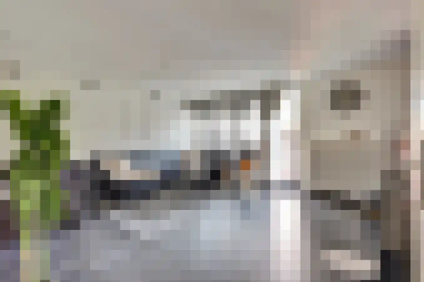 Fumahout 2 Zoetermeer thumbnail 9