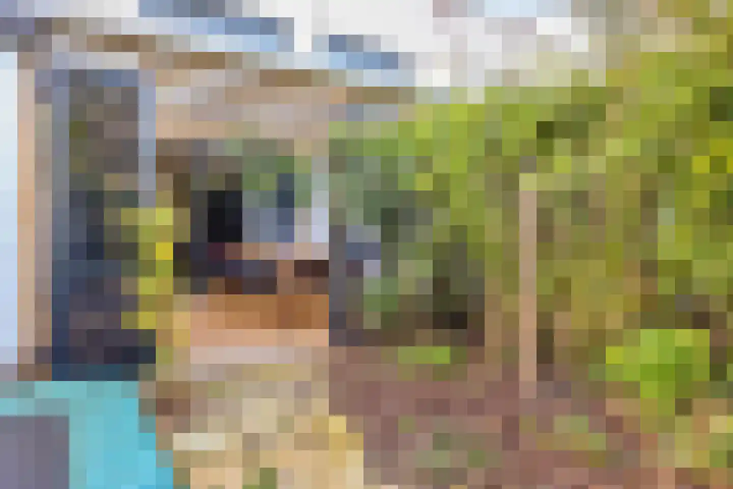 Fumahout 22 Zoetermeer thumbnail 51