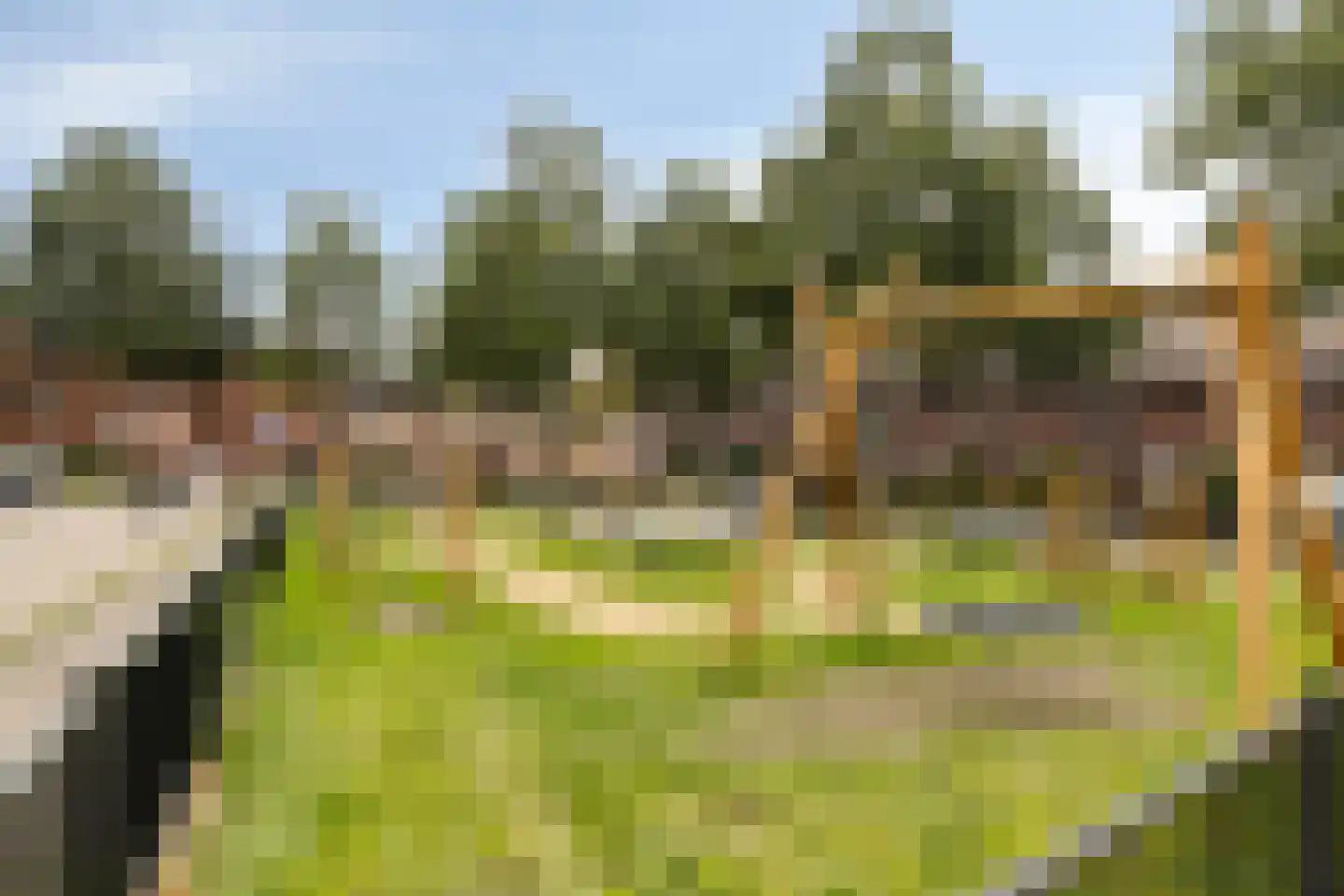 Fumahout 22 Zoetermeer thumbnail 58