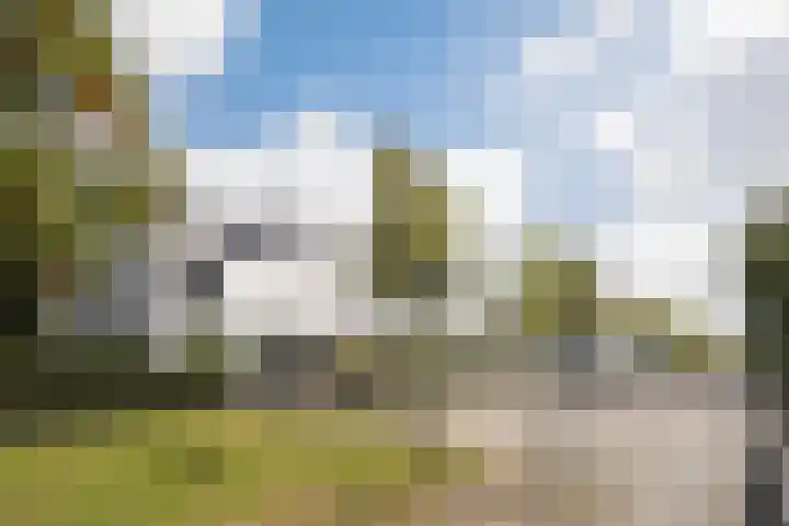 Fumahout 4 Zoetermeer thumbnail 11