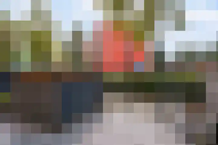Fumahout 4 Zoetermeer thumbnail 13