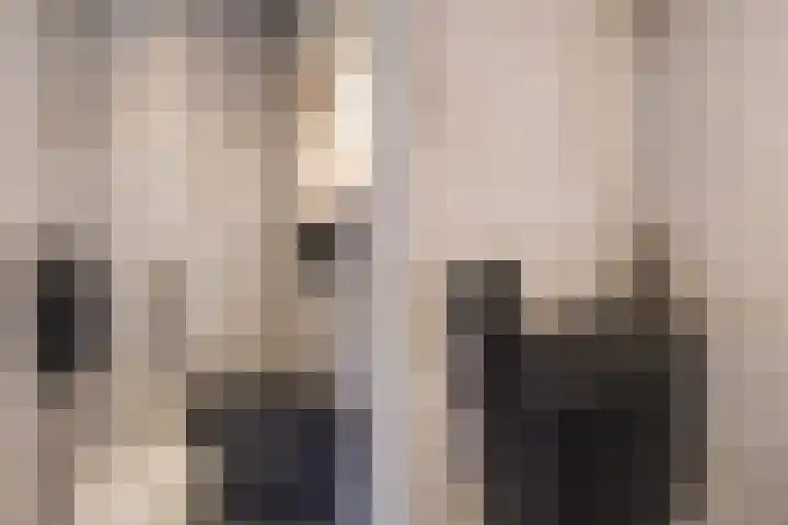 Fumahout 4 Zoetermeer thumbnail 17