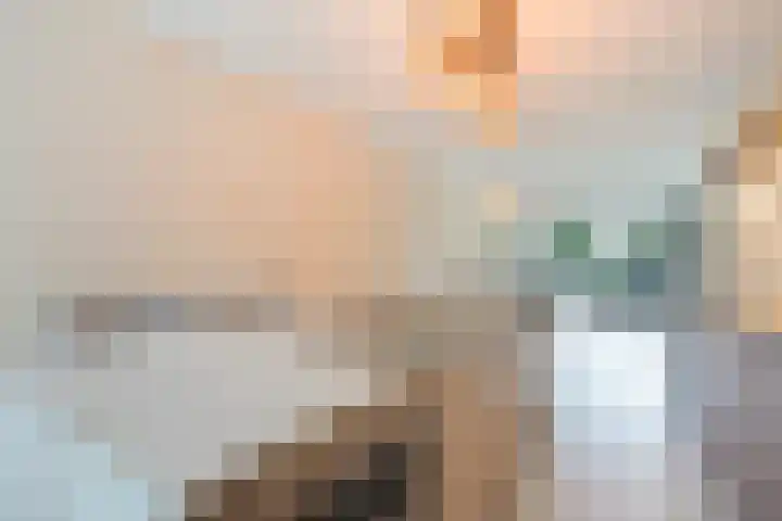 Fumahout 4 Zoetermeer thumbnail 24