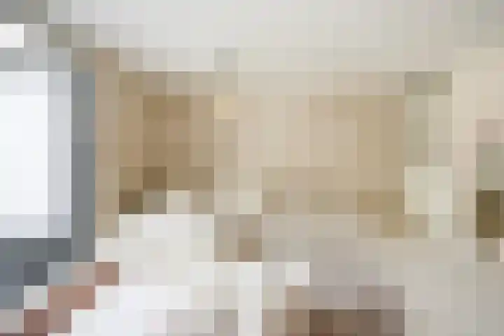 Fumahout 4 Zoetermeer thumbnail 33
