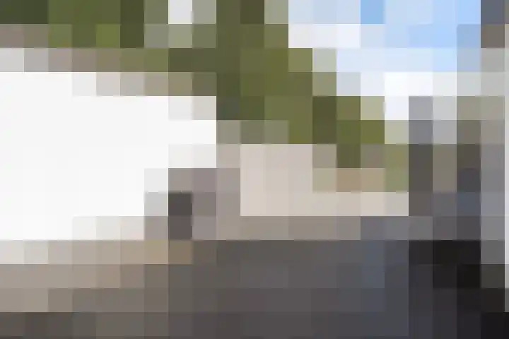 Fumahout 4 Zoetermeer thumbnail 34