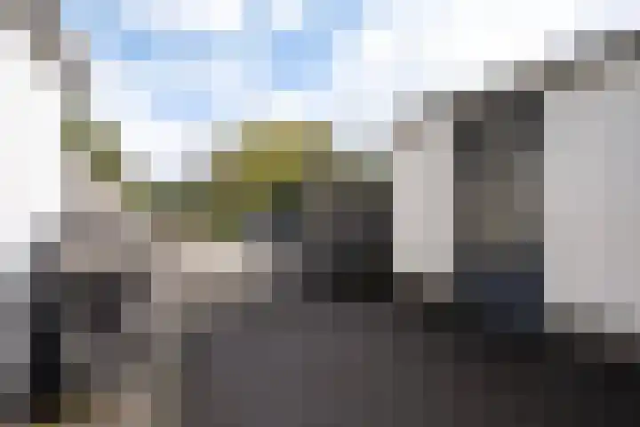 Fumahout 4 Zoetermeer thumbnail 35