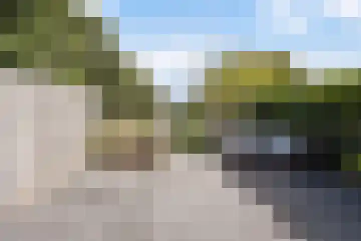Fumahout 4 Zoetermeer thumbnail 37