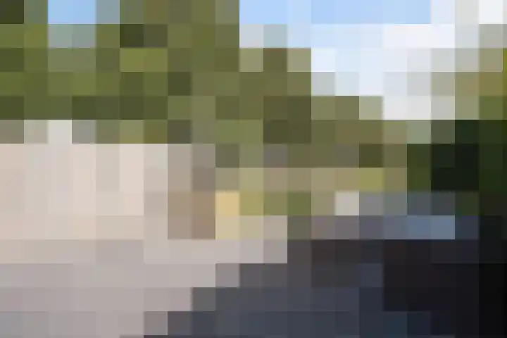 Fumahout 4 Zoetermeer thumbnail 38