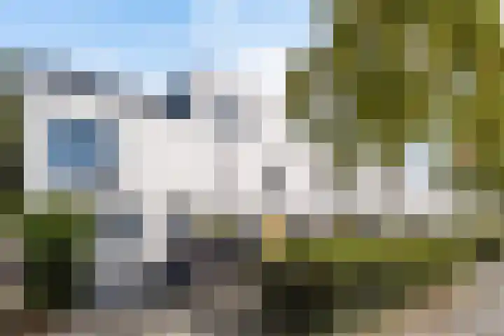 Fumahout 4 Zoetermeer thumbnail 4