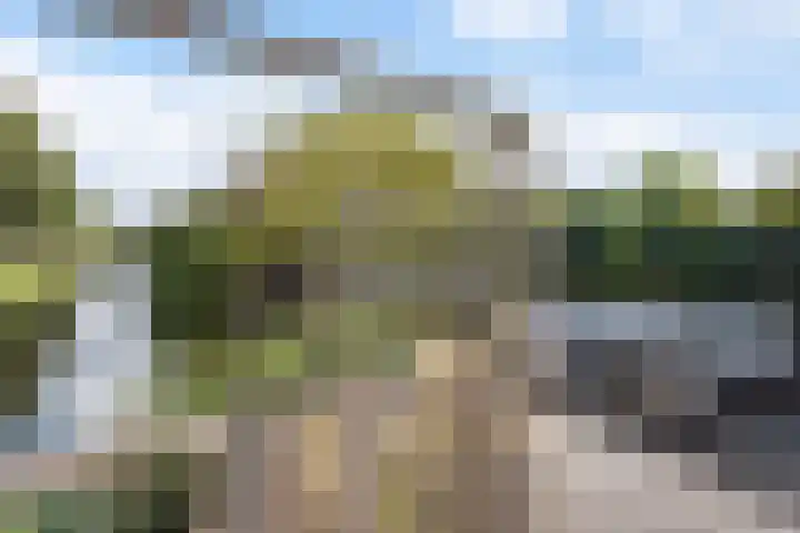 Fumahout 4 Zoetermeer thumbnail 41