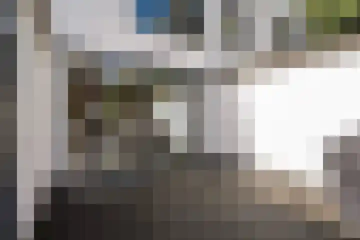 Fumahout 4 Zoetermeer thumbnail 42
