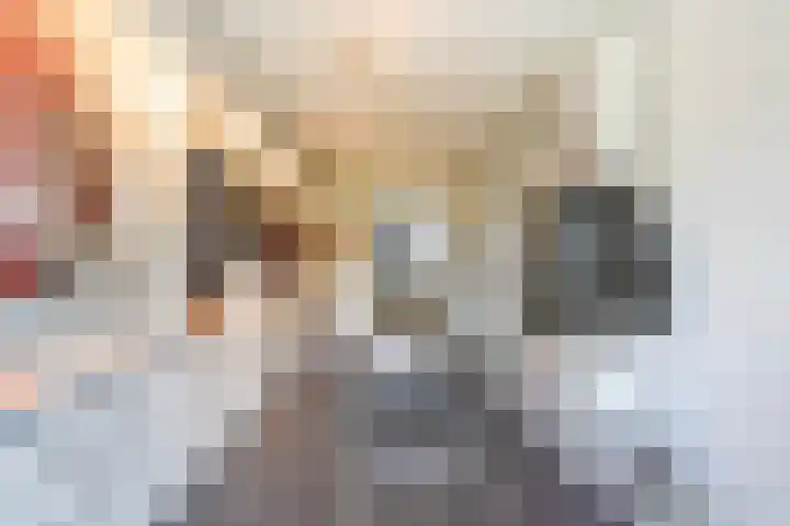 Fumahout 4 Zoetermeer thumbnail 60