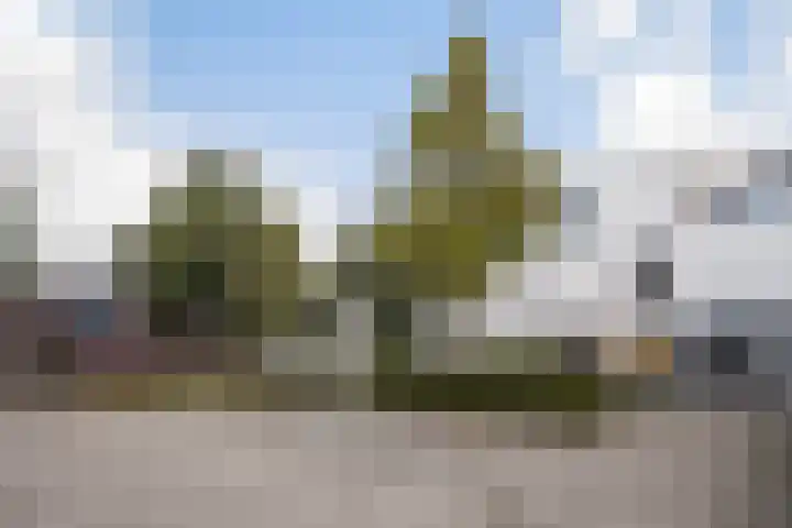 Fumahout 4 Zoetermeer thumbnail 9