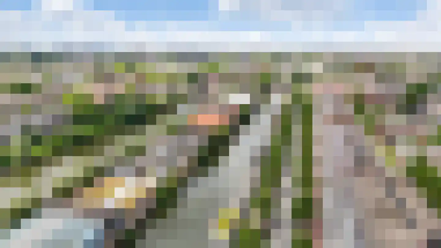 Funenpark 194 Amsterdam thumbnail 37