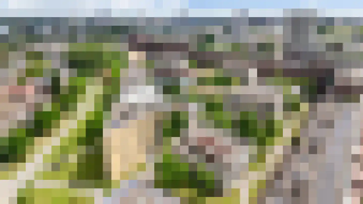 Funenpark 194 Amsterdam thumbnail 38