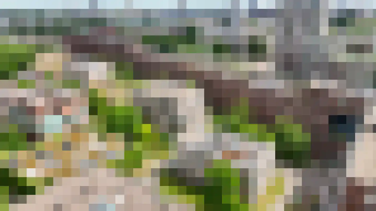 Funenpark 194 Amsterdam thumbnail 39