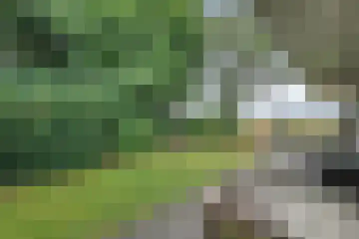 Funenpark 195 Amsterdam thumbnail 9