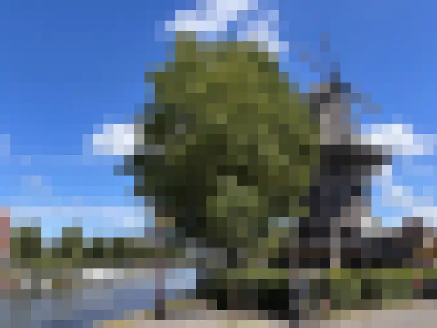 Funenpark 209 Amsterdam thumbnail 28
