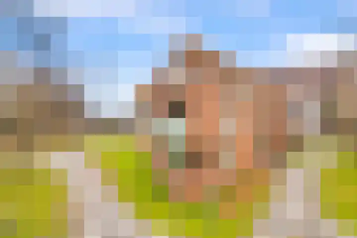 Funenpark 300 Amsterdam thumbnail 33