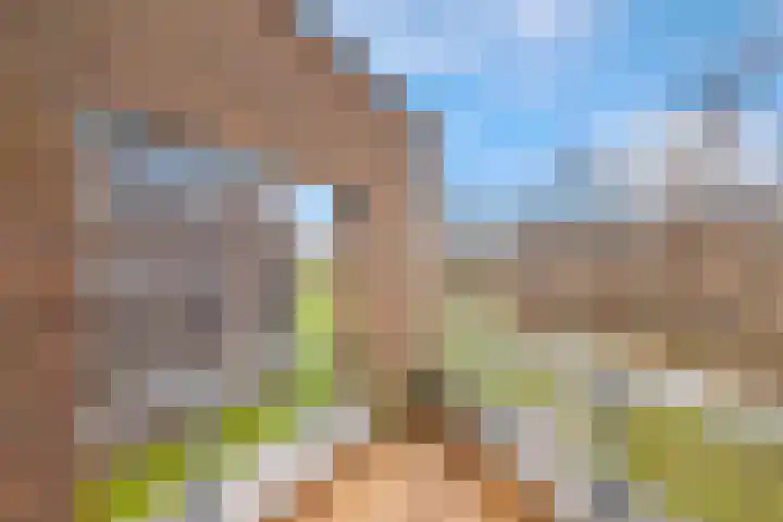 Funenpark 300 Amsterdam thumbnail 35