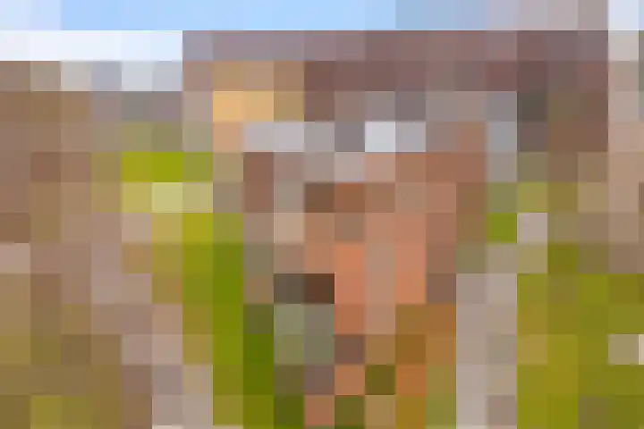 Funenpark 300 Amsterdam thumbnail 4