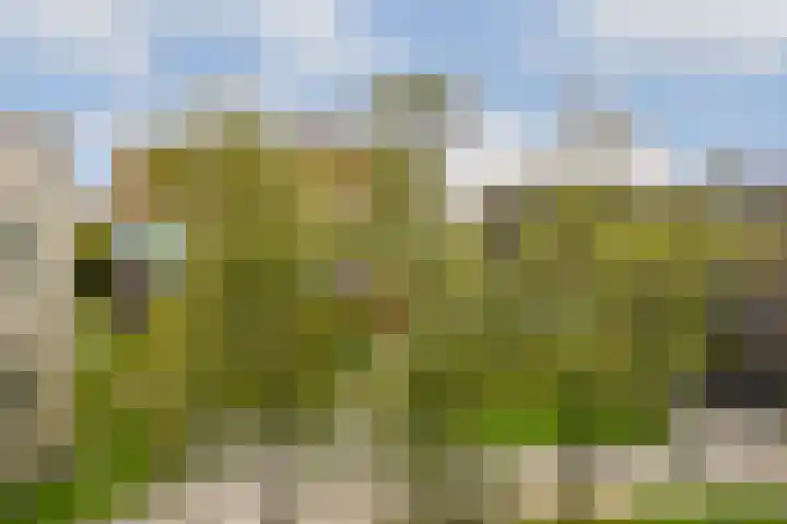 Funenpark 325 Amsterdam thumbnail 12